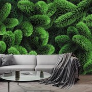 Fototapeta - Gałązki iglaste (196x136 cm)