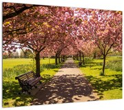 Obraz - sad czereśniowy (70x50 cm)