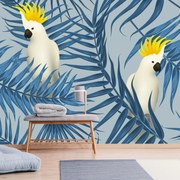 Fototapeta - Papugi, szara (196x136 cm)