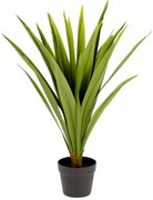 Sztuczna roślina (wysokość 80 cm) Yucca – Kave Home