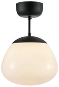 Czarno-biała lampa sufitowa ze szklanym kloszem ø 25 cm Rise – Markslöjd