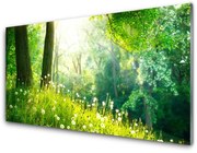 Panel Szklany Łąka Natura Roślina