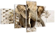Obraz - słoń taranujący ścianę (125x70 cm)