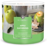 Zapachowa sojowa świeca czas palenia 35 h Apple Gathering – Goose Creek