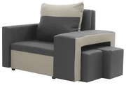 Fotel rozkładany 1 os z funkcją spania DAKOTA 2 Szary/Kremowy