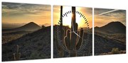 Obraz - kaktusy w słońcu (z zegarem) (90x30 cm)