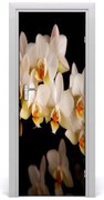 Naklejka samoprzylepna okleina na drzwi Orchidea