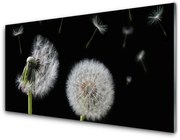 Panel Kuchenny Mniszek Lekarski