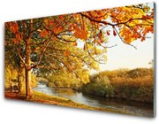 Panel Szklany Drzewo Jezioro Przyroda