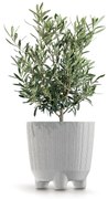 Doniczka Ryfo N ECO Wood 19,5 cm biały ECO PROSPERPLAST