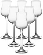 Tescoma Zestaw szklanek do grappy/rumu CHARLIE, 6szt., 110 ml