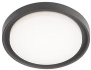 Redo 9184 - Zewnętrzna lampa sufitowa LED BEZEL LED/30W/230V IP54 antracyt