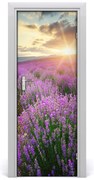 Naklejka fototapeta na drzwi Pole lawendy