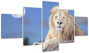 Obraz - Biały lew (125x70 cm)