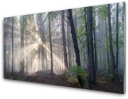 Panel Kuchenny Las Natura Drzewa