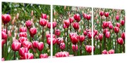 Obraz tulipanów (z zegarem) (90x30 cm)