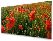 Panel Szklany Maki Roślina Natura