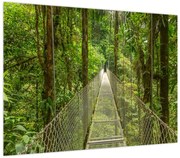 Obraz - Most wiszący (70x50 cm)