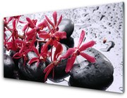 Obraz Akrylowy Kwiat Kamienie Sztuka