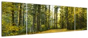 Obraz - las jesienią (170x50 cm)