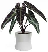 Ceramiczna doniczka ø 20 cm Diana – Artevasi
