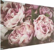 Plakat Różowe piwonie 60x40 cm bez ramy bez marginesu ARTGEIST B
