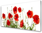 Panel Szklany Maki Kwiaty Natura Roślina