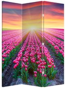 Parawan - Pole tulipanów ze Słońcem (126x170 cm)