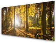 Panel Szklany Las Liście Roślina Natura