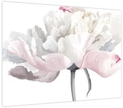 Obraz - Kwiat róży (70x50 cm)