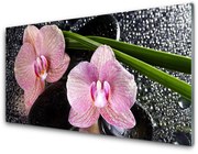 Panel Szklany Kwiaty Orchidea Storczyk Zen