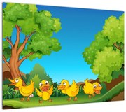 Obraz - Wesołe kaczątka (70x50 cm)