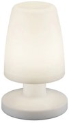 Solarna lampa zewnętrzna LED (wysokość 21 cm) Dora – Trio