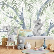 Fototapeta - Koale (196x136 cm)