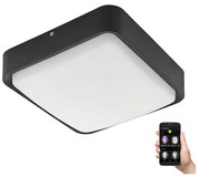 Eglo 97295 - LED ściemnialna lampa sufitowa zewnętrzna PIOVE-C LED/14,6W/230V