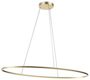 Redo 01-3341 - LED Ściemnialny żyrandol na lince LEO LED/67W/230V brązowy