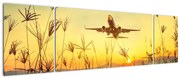 Obraz startującego samolotu (170x50 cm)