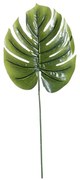 Liść Monstery szer. 23cm