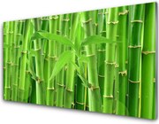 Szkło do Kuchni na Ścianę Kwiaty I Pędy Bambusa