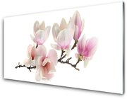 Obraz Akrylowy Kwiaty Roślina Natura