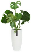 Fox & Fern Almere Doniczka