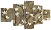Obraz - Białe magnolie na murze kamiennym (125x70 cm)