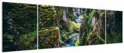 Obraz - Rzeka w skalistej dolinie (170x50 cm)