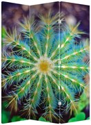 Parawan - Kaktus (126x170 cm)