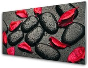 Panel Szklany Płatki Kamienie Sztuka