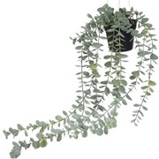 Sztuczna roślina wisząca BLUSZCZ, 56 cm