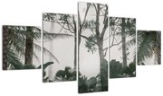 Obraz - dżungla w porannej mgle (125x70 cm)