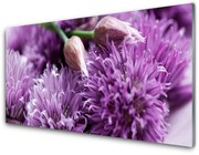 Obraz Akrylowy Kwiaty Roślina