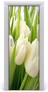 Naklejka samoprzylepna okleina Białe tulipany