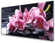 Obraz Akrylowy Kwiat Orchidea Roślina